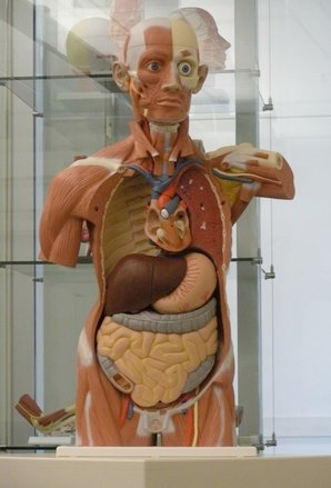 GVSU Master's Program is a First for West Michigan